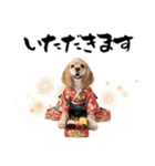 アメコカ子犬の晴れ着スタンプ♡2026お正月（個別スタンプ：34）