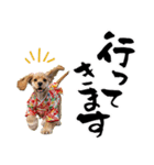 アメコカ子犬の晴れ着スタンプ♡2026お正月（個別スタンプ：35）