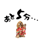 アメコカ子犬の晴れ着スタンプ♡2026お正月（個別スタンプ：36）