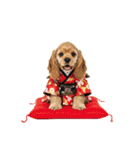 アメコカ子犬の晴れ着スタンプ♡2026お正月（個別スタンプ：37）