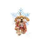 アメコカ子犬の晴れ着スタンプ♡2026お正月（個別スタンプ：38）