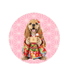 アメコカ子犬の晴れ着スタンプ♡2026お正月（個別スタンプ：40）