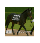 面白いあけおめネーム競走馬スタンプ2026（個別スタンプ：11）