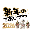 ふわもこマルチーズのお正月♡2026年！（個別スタンプ：4）