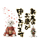 ふわもこマルチーズのお正月♡2026年！（個別スタンプ：6）