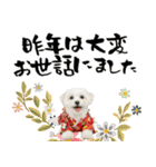 ふわもこマルチーズのお正月♡2026年！（個別スタンプ：12）