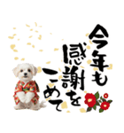 ふわもこマルチーズのお正月♡2026年！（個別スタンプ：16）