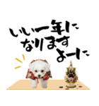 ふわもこマルチーズのお正月♡2026年！（個別スタンプ：18）