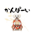 ふわもこマルチーズのお正月♡2026年！（個別スタンプ：22）