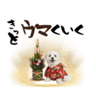 ふわもこマルチーズのお正月♡2026年！（個別スタンプ：27）