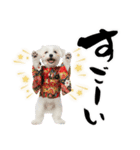ふわもこマルチーズのお正月♡2026年！（個別スタンプ：33）