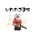 ふわもこマルチーズのお正月♡2026年！（個別スタンプ：34）