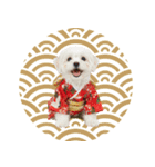 ふわもこマルチーズのお正月♡2026年！（個別スタンプ：39）
