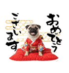 笑顔で迎える2026♡お正月パグ年賀（個別スタンプ：3）