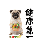 笑顔で迎える2026♡お正月パグ年賀（個別スタンプ：17）