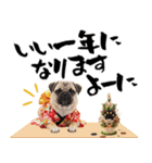 笑顔で迎える2026♡お正月パグ年賀（個別スタンプ：18）