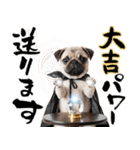 笑顔で迎える2026♡お正月パグ年賀（個別スタンプ：19）