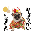 笑顔で迎える2026♡お正月パグ年賀（個別スタンプ：20）