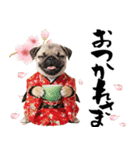 笑顔で迎える2026♡お正月パグ年賀（個別スタンプ：21）