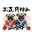 笑顔で迎える2026♡お正月パグ年賀（個別スタンプ：23）