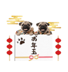 笑顔で迎える2026♡お正月パグ年賀（個別スタンプ：26）