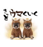笑顔で迎える2026♡お正月パグ年賀（個別スタンプ：27）