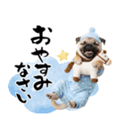 笑顔で迎える2026♡お正月パグ年賀（個別スタンプ：28）