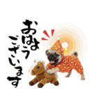 笑顔で迎える2026♡お正月パグ年賀（個別スタンプ：29）