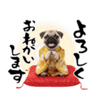 笑顔で迎える2026♡お正月パグ年賀（個別スタンプ：30）