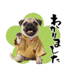 笑顔で迎える2026♡お正月パグ年賀（個別スタンプ：32）