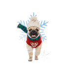 笑顔で迎える2026♡お正月パグ年賀（個別スタンプ：38）