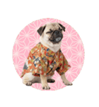 笑顔で迎える2026♡お正月パグ年賀（個別スタンプ：40）