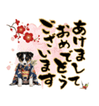 ボーダーコリー子犬のお正月スタンプ2026♡（個別スタンプ：1）