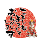ボーダーコリー子犬のお正月スタンプ2026♡（個別スタンプ：2）