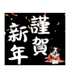 ボーダーコリー子犬のお正月スタンプ2026♡（個別スタンプ：5）
