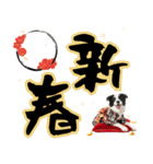 ボーダーコリー子犬のお正月スタンプ2026♡（個別スタンプ：7）