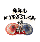 ボーダーコリー子犬のお正月スタンプ2026♡（個別スタンプ：9）