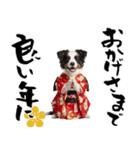ボーダーコリー子犬のお正月スタンプ2026♡（個別スタンプ：15）