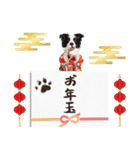 ボーダーコリー子犬のお正月スタンプ2026♡（個別スタンプ：26）
