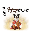 ボーダーコリー子犬のお正月スタンプ2026♡（個別スタンプ：27）