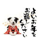 ボーダーコリー子犬のお正月スタンプ2026♡（個別スタンプ：31）