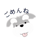 2026年シュナウザー犬正月（個別スタンプ：16）