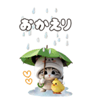 パンダ帽が可愛い猫 気軽に使える BIG 冬（個別スタンプ：16）