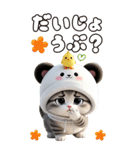 パンダ帽が可愛い猫 気軽に使える BIG 冬（個別スタンプ：18）