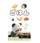 パンダ帽が可愛い猫 気軽に使える BIG 冬（個別スタンプ：21）