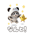 パンダ帽が可愛い猫 気軽に使える BIG 冬（個別スタンプ：26）