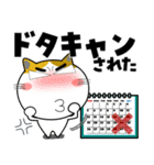 三毛猫★年末年始2026（個別スタンプ：9）