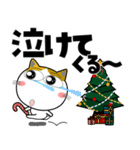 三毛猫★年末年始2026（個別スタンプ：10）