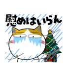 三毛猫★年末年始2026（個別スタンプ：11）