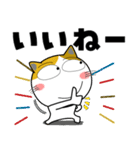 三毛猫★年末年始2026（個別スタンプ：20）